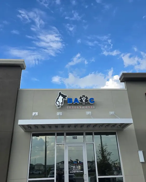 Bay Area Veterinary Care Picture 3