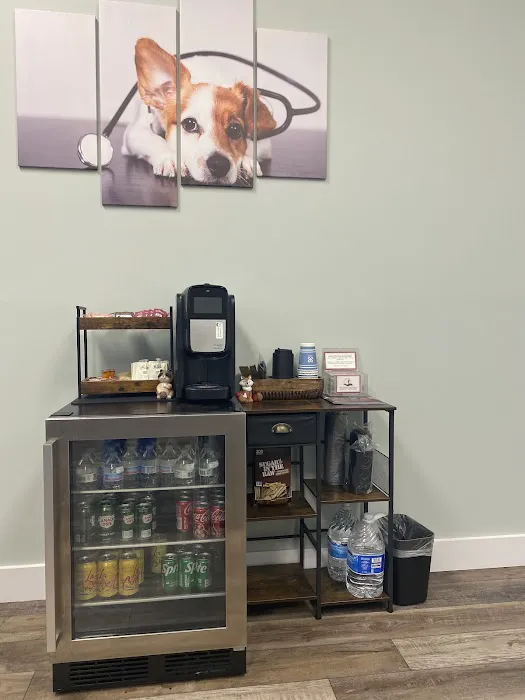 Bay Area Veterinary Care Picture 7