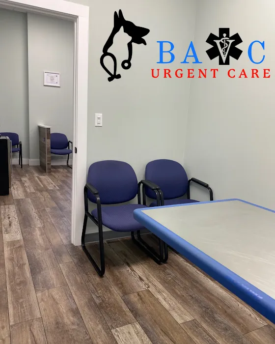 Bay Area Veterinary Care Picture 10