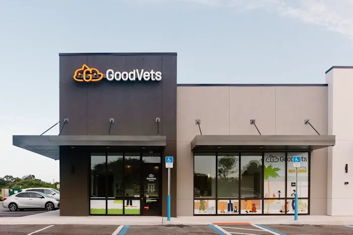GoodVets Apollo Beach Picture 4