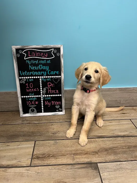 NewDay Veterinary Care Picture 5