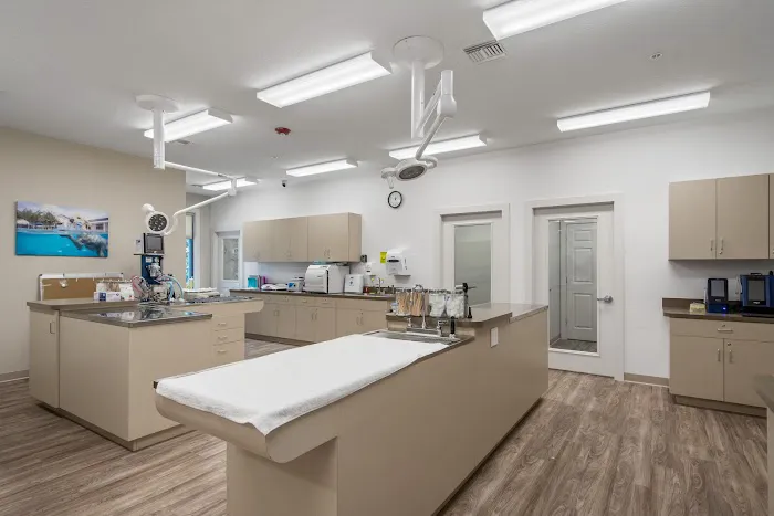 NewDay Veterinary Care Picture 4