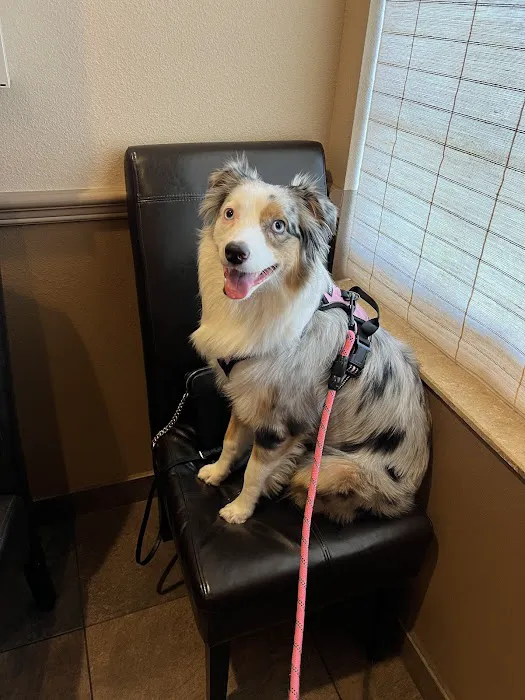Sierra Animal Hospital Picture 3