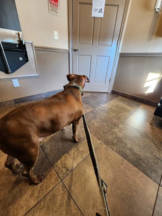 Sierra Animal Hospital Picture 9