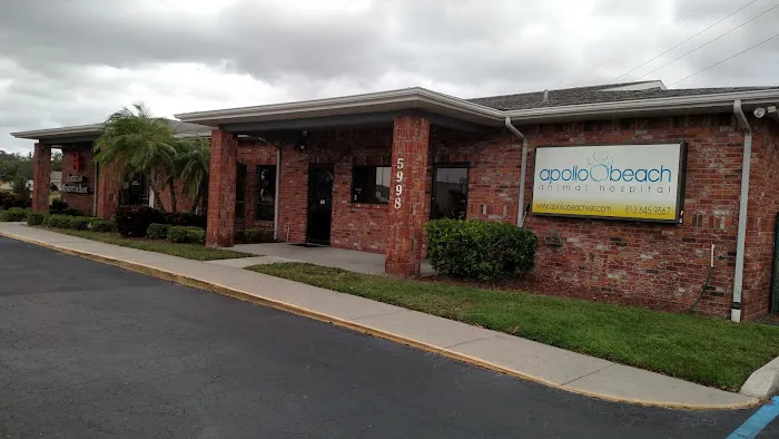 Apollo Beach Animal Hospital Picture 3