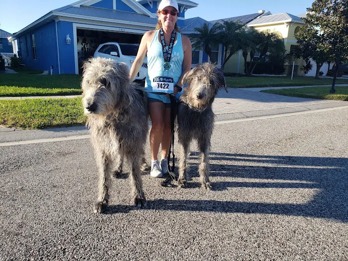 Apollo Beach Animal Hospital Picture 10