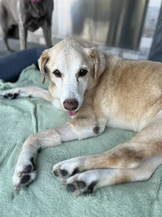 Apollo Beach Animal Hospital Picture 1
