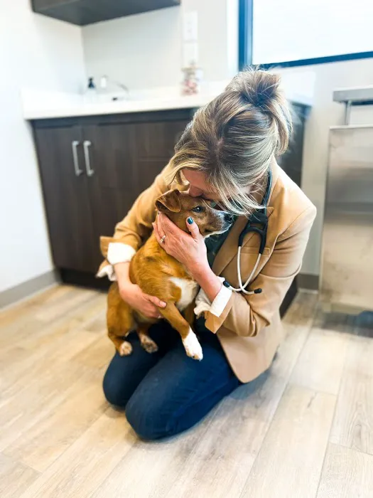Prior Lake Pet Hospital - General and Urgent Care Picture 8