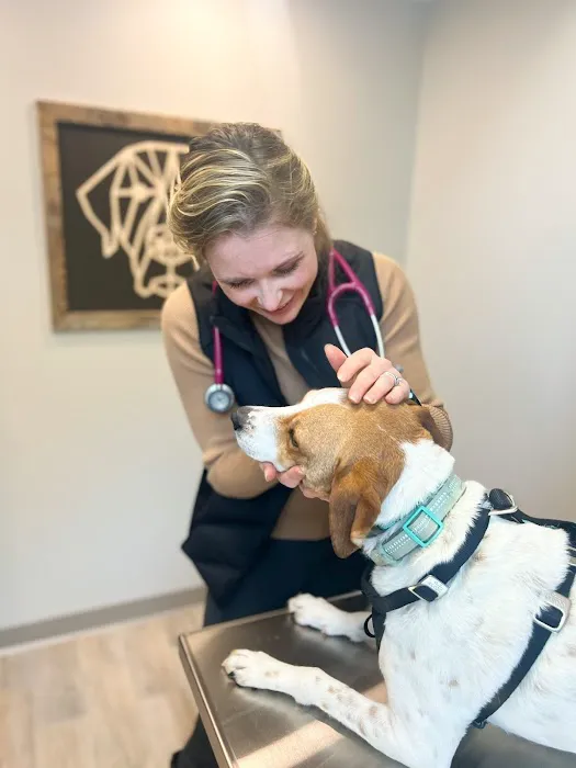 Prior Lake Pet Hospital - General and Urgent Care Picture 7