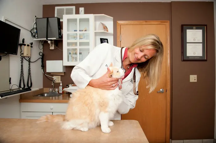 Prior Lake Pet Hospital - General and Urgent Care Picture 4