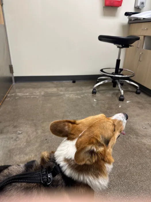 Vetco Total Care Animal Hospital Picture 4