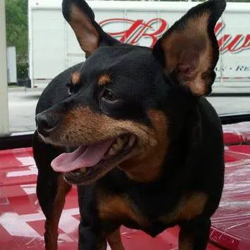 Vetco Total Care Animal Hospital Picture 5