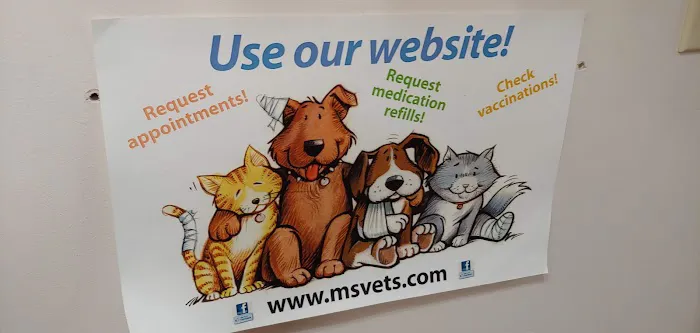 Main Street Veterinary Service Picture 8