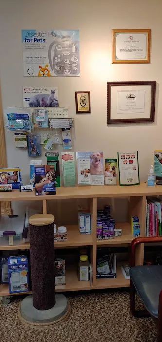 Main Street Veterinary Service Picture 6