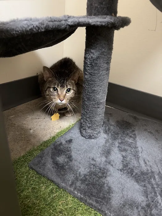 Vetco Total Care Animal Hospital Picture 2