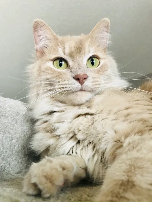 Vetco Total Care Animal Hospital Picture 1