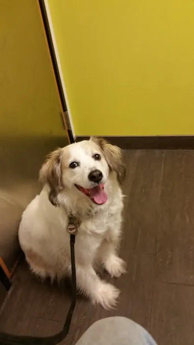 Banfield Pet Hospital Picture 3
