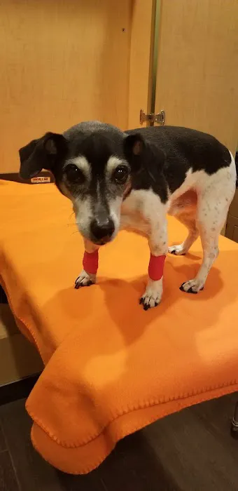 Banfield Pet Hospital Picture 6
