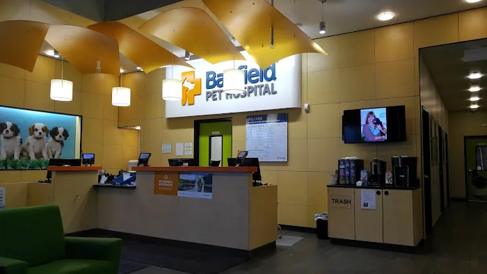 Banfield Pet Hospital Picture 4