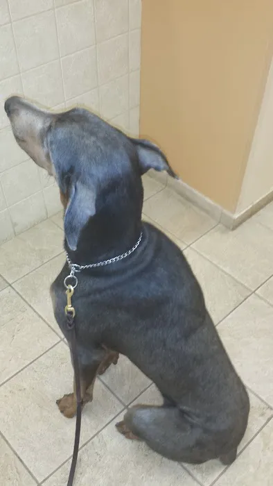 Cleary Lake Veterinary Hospital Picture 9