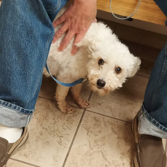 Cleary Lake Veterinary Hospital Picture 2