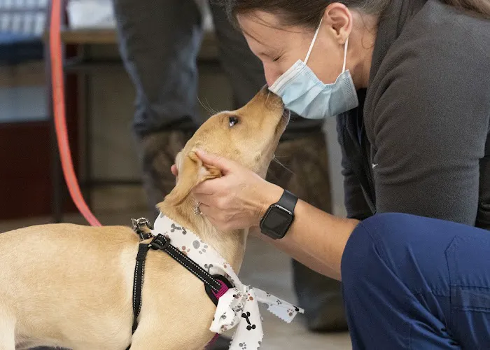 Rivertown Animal Hospital Picture 2