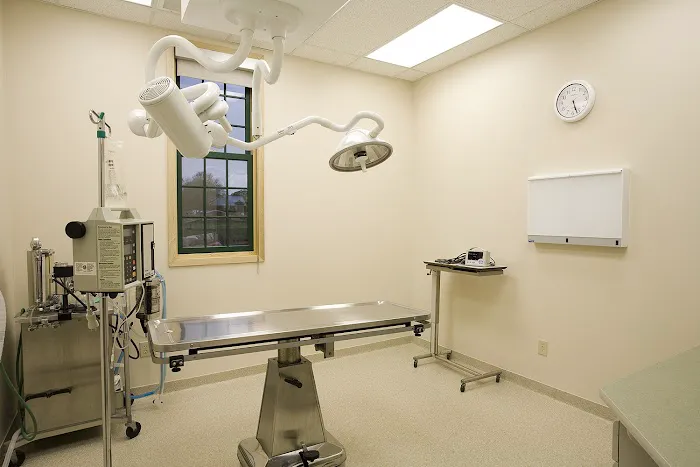 Rivertown Animal Hospital Picture 5