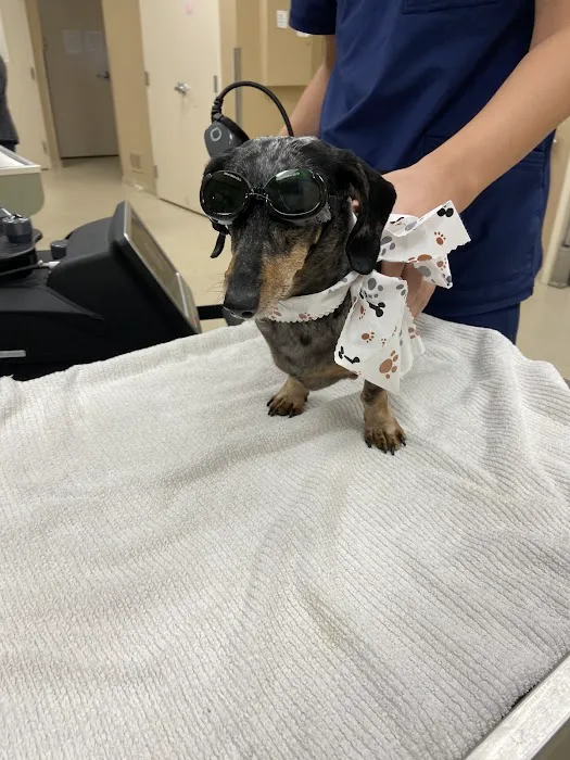 Rivertown Animal Hospital Picture 4