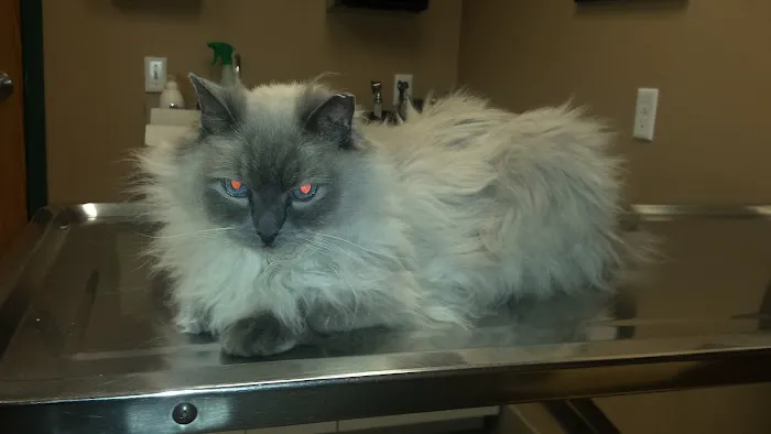 Stillwater Veterinary Clinic Picture 1