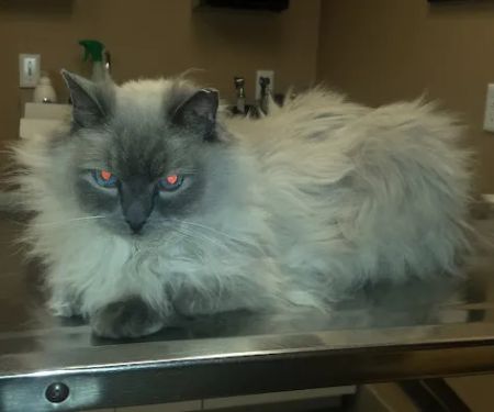 Stillwater Veterinary Clinic