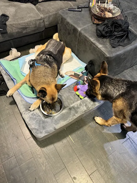 Hudson Pet Hospital Picture 5