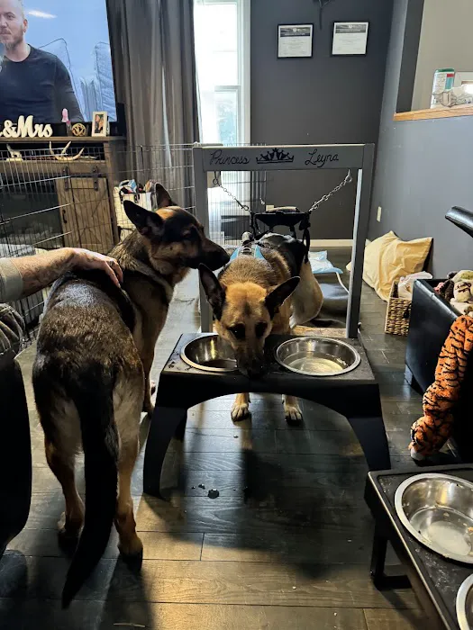 Hudson Pet Hospital Picture 4