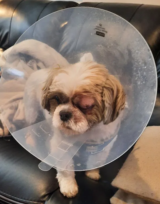 Hudson Pet Hospital Picture 1