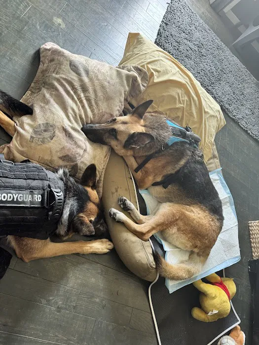 Hudson Pet Hospital Picture 7