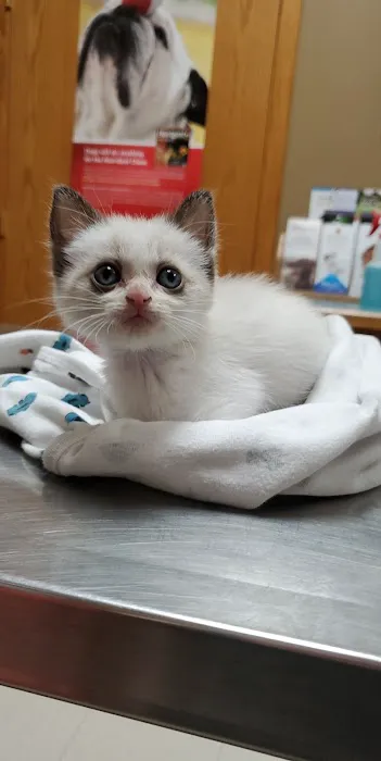 Animal Medical Center-Lindstrom Picture 6