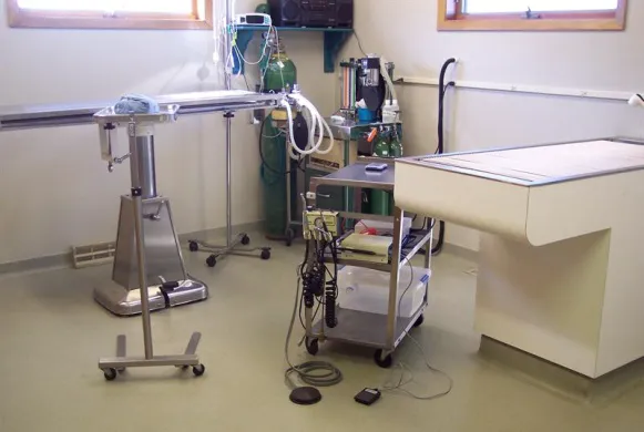 Osceola Veterinary Service Picture 5