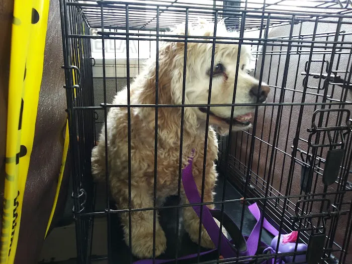 Oak Grove Animal Hospital Picture 4
