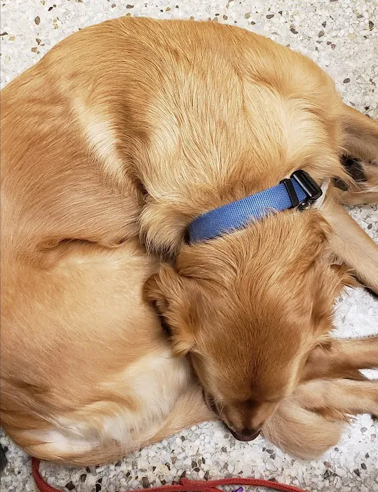 Cottage Grove Animal Hospital Picture 10