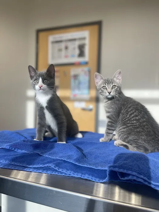 Lakeville Family Pet Clinic Picture 7