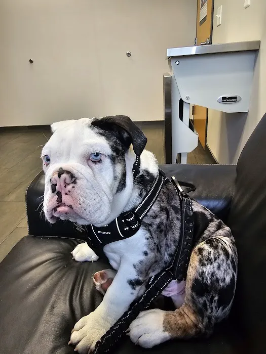 Lakeville Family Pet Clinic Picture 2