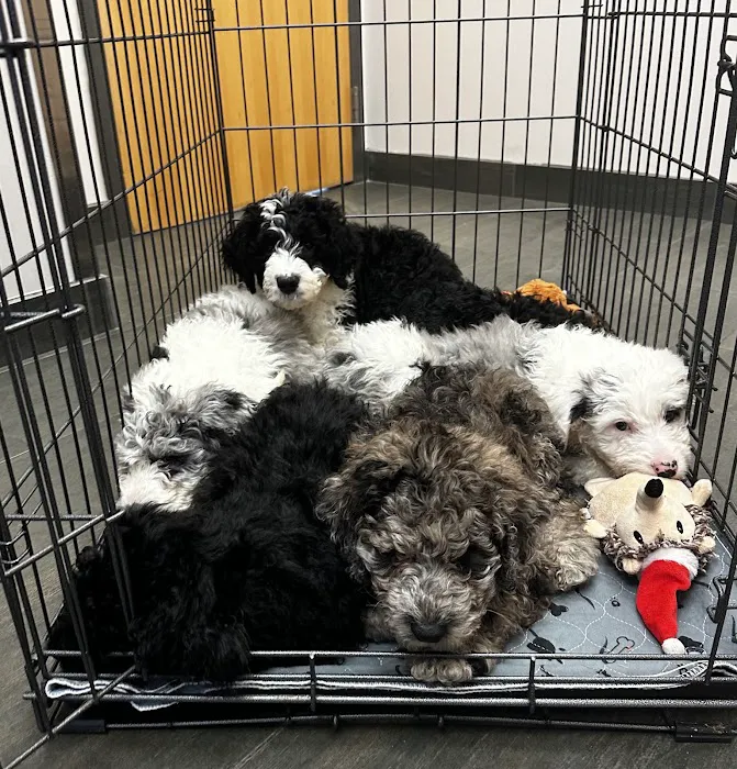 Lakeville Family Pet Clinic Picture 6