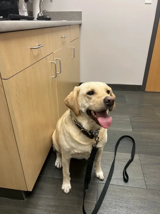 Lakeville Family Pet Clinic Picture 5