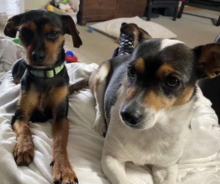 Akin Hills Pet Hospital