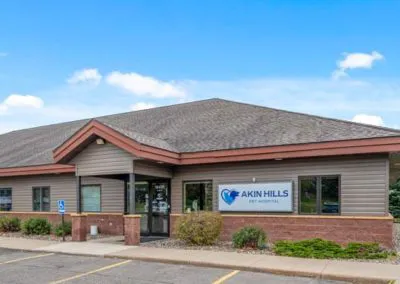 Akin Hills Pet Hospital Picture 6