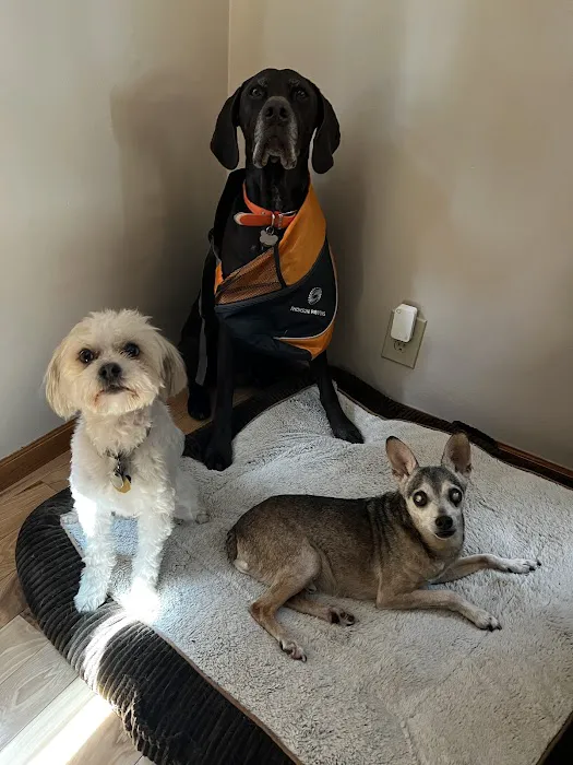 Akin Hills Pet Hospital Picture 8