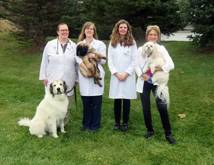 St. Boni Pet Hospital Picture 9