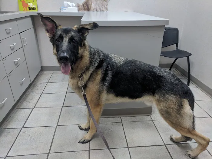 Chaska Valley Veterinary Clinic Picture 7