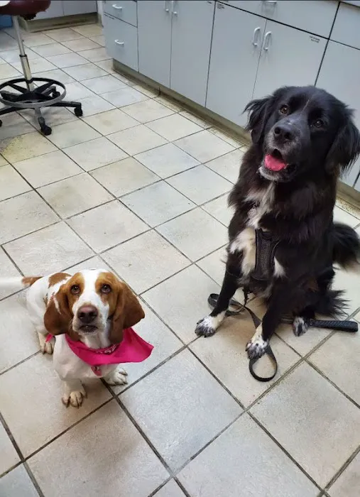 Chaska Valley Veterinary Clinic Picture 10