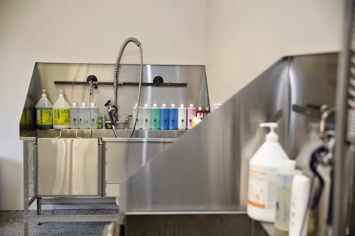 ValueCare Veterinary Clinic Picture 10