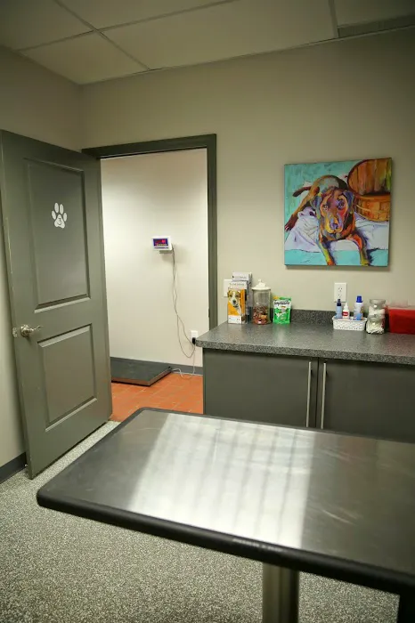 ValueCare Veterinary Clinic Picture 5